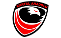 Kartal Anadolu Spor Kulübü